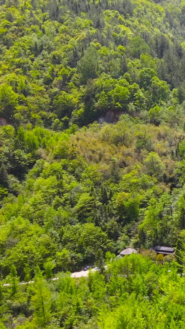 神农架神农架航拍5A景区集合视频的预览图