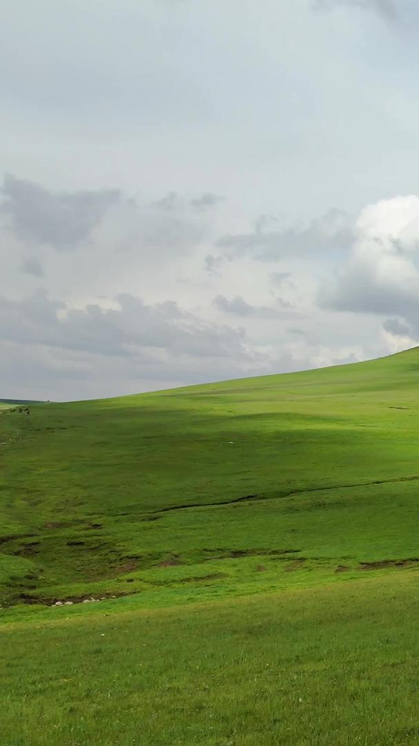 5A景区喀拉峻连绵起伏的大草原风光视频视频的预览图