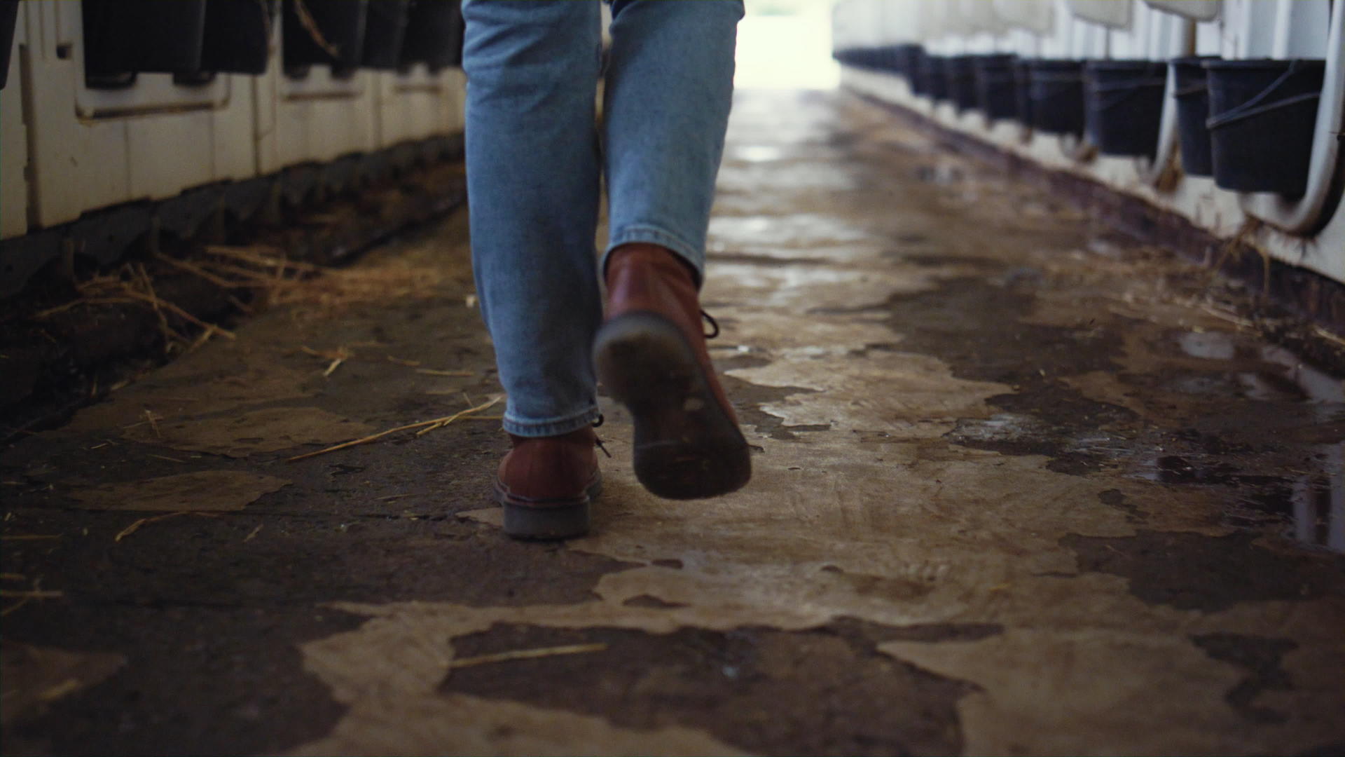 农夫鞋走牛棚设施特写视频的预览图