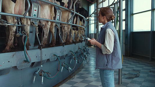 农民用平板电脑控制挤奶过程视频的预览图