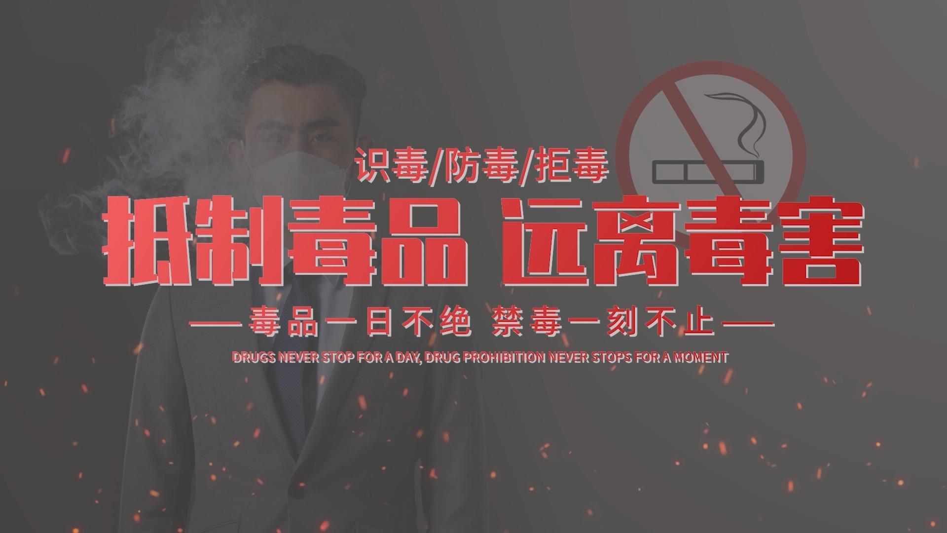 简洁国际禁毒日片头展示PR模板视频的预览图