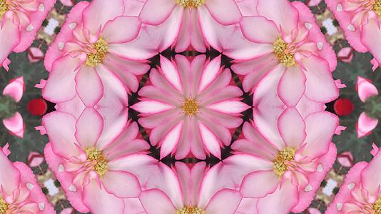 粉色纹理的抽象kaleidoscope背景视频的预览图
