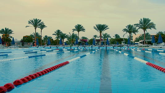 游泳池靠近棕榈树视频的预览图