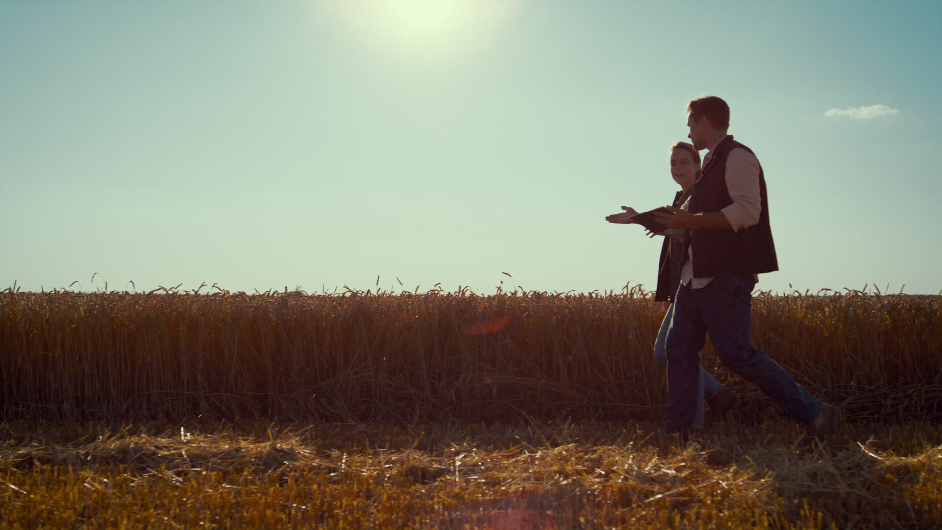 在阳光明媚的日子里农学家团队在麦田里行走视频的预览图