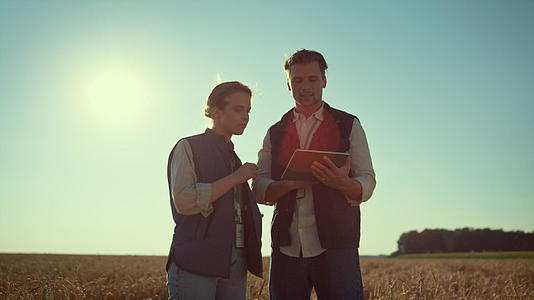 农业学家团队在阳光下手持平板电脑视频的预览图