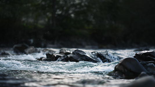 野生山河流经巨石视频的预览图