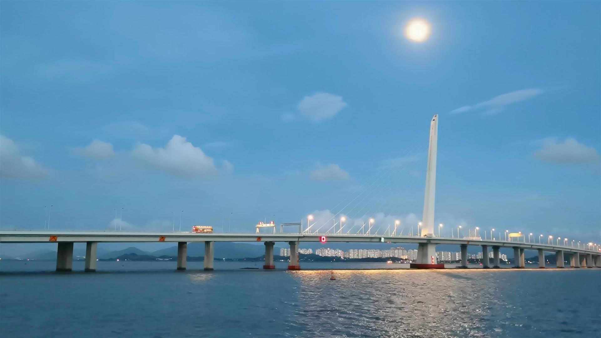 夏日夜晚月光下的深圳湾大桥视频的预览图