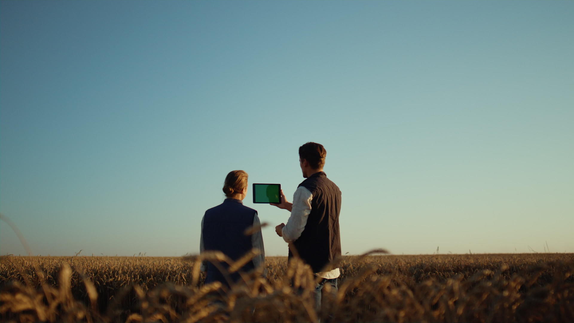 农民使用平板电脑与麦田合作伙伴进行在线交流视频的预览图