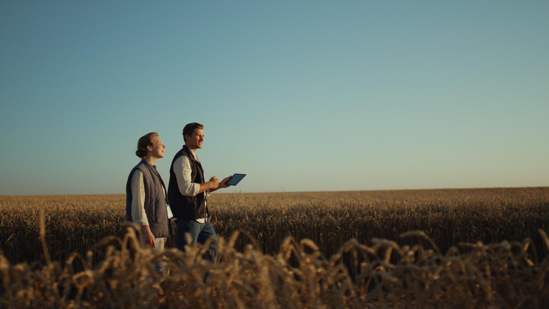 两个农民在金色的阳光下检查小麦收成视频的预览图