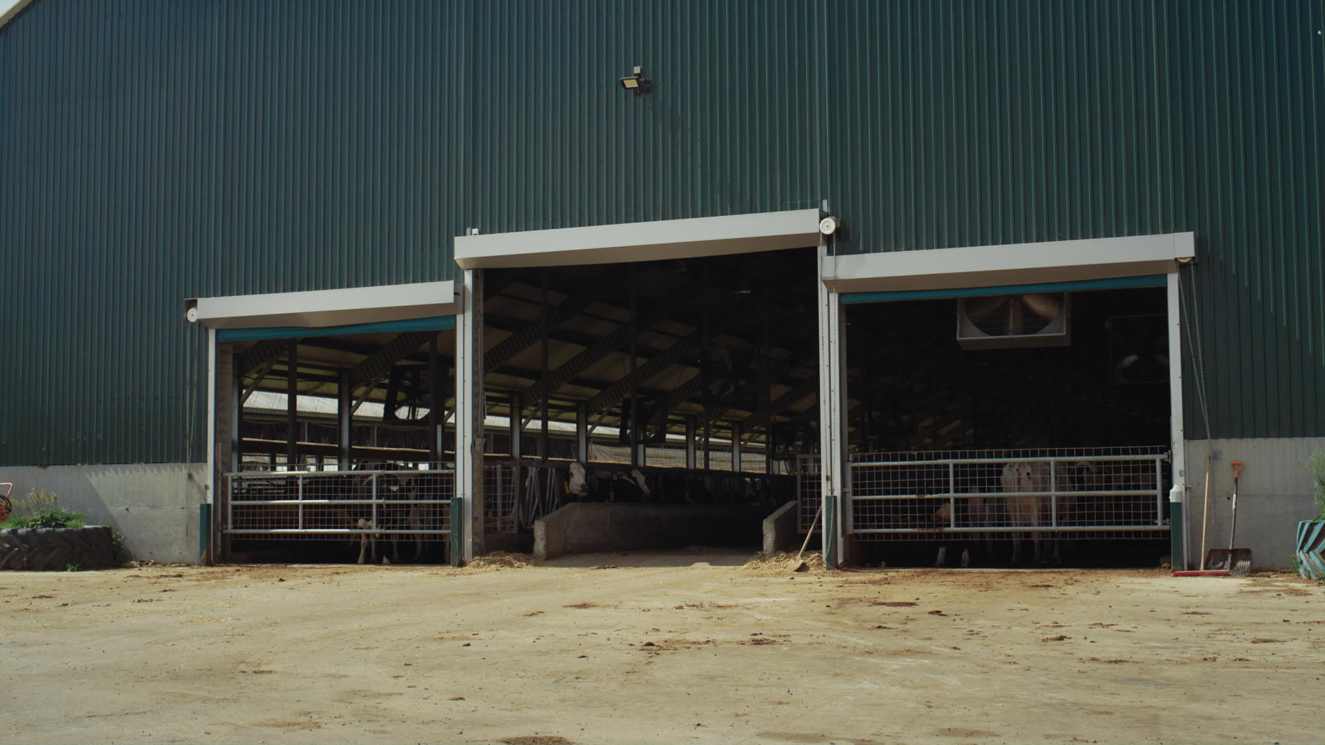 在阳光明媚的日子里建造牛场牛棚视频的预览图