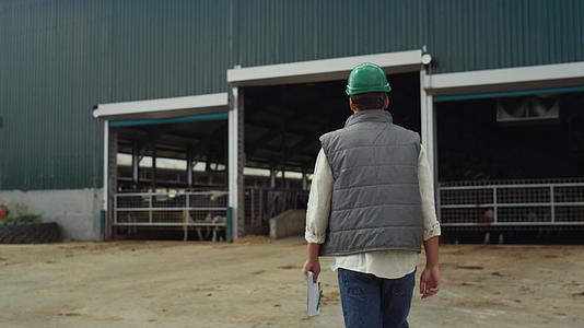 农场饲养员走现代牛棚图图视频的预览图