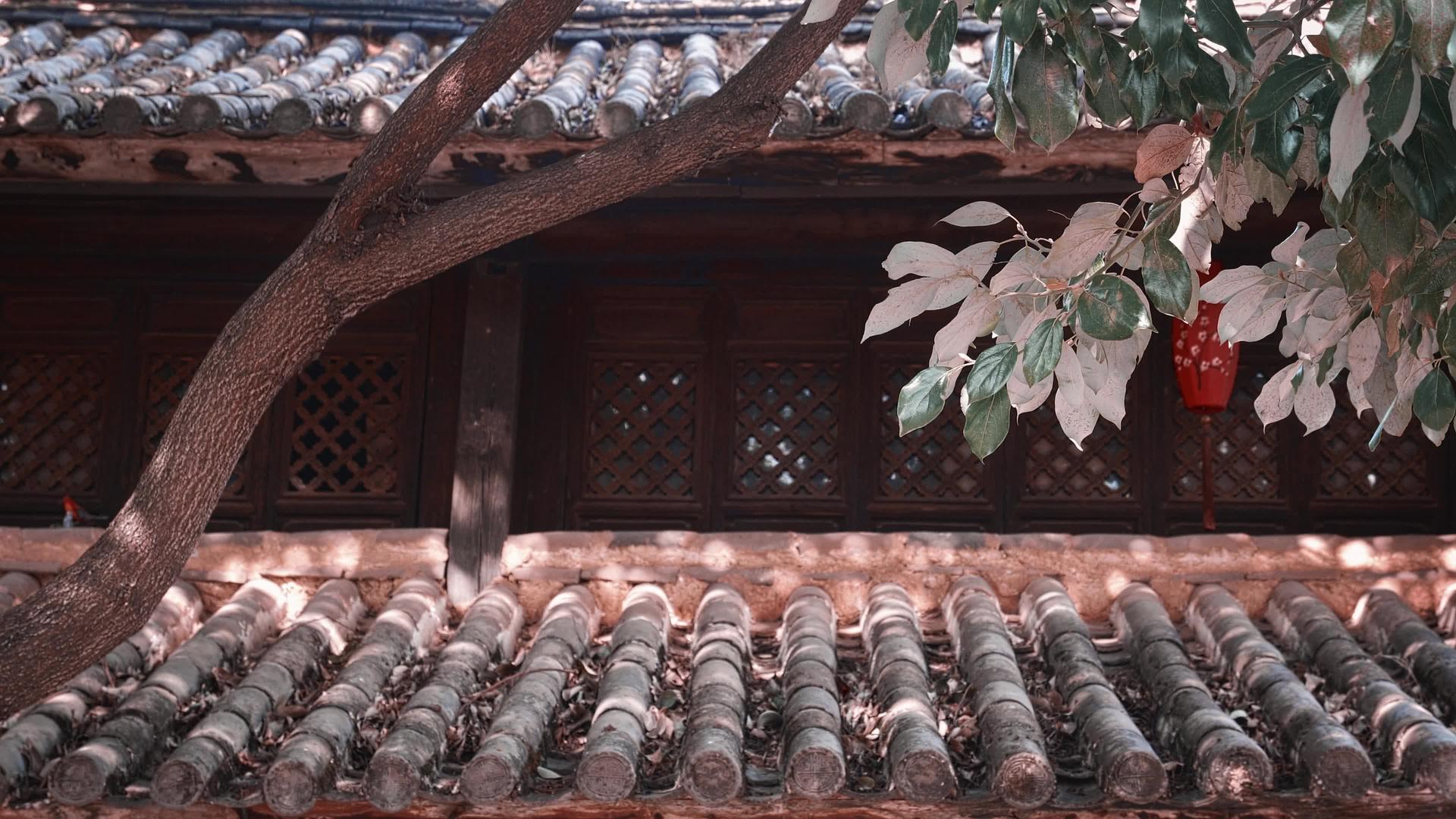 中式建筑光影实拍视频的预览图