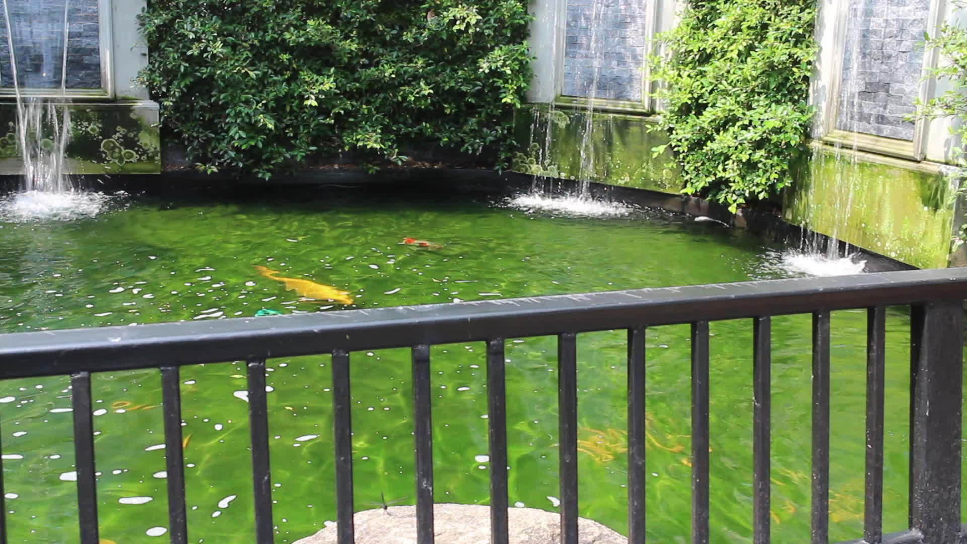 外露的花园碳化池视频的预览图