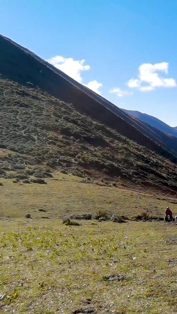 蓝天下的高山草甸和骑马登山的马队人群视频的预览图