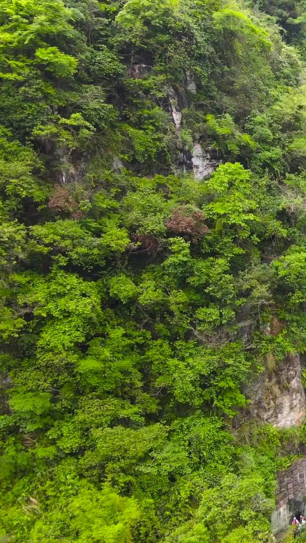 三峡五A风景区人家龙进溪风景区航拍集合视频的预览图