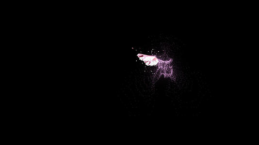 蝴蝶拖尾粒子视频的预览图