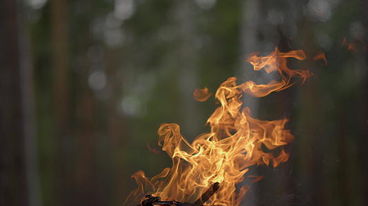 火焰在夏天的森林篝火中燃烧视频的预览图