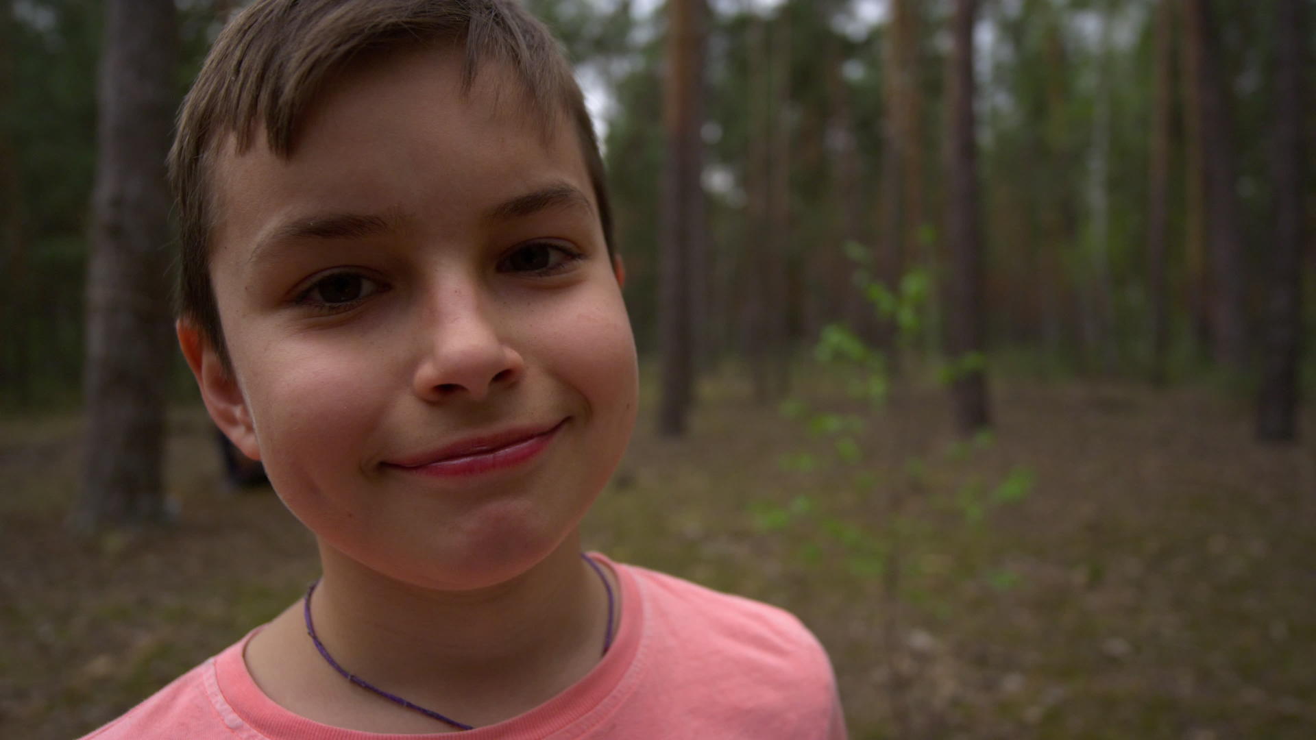 在树林里小男孩对着镜头自信地微笑着视频的预览图