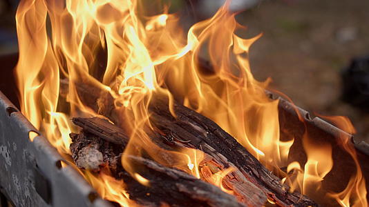 树林篝火火焰燃烧特写视频的预览图