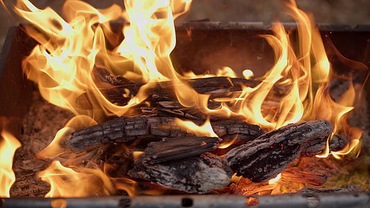 火焰燃烧特写在森林烧烤场视频的预览图