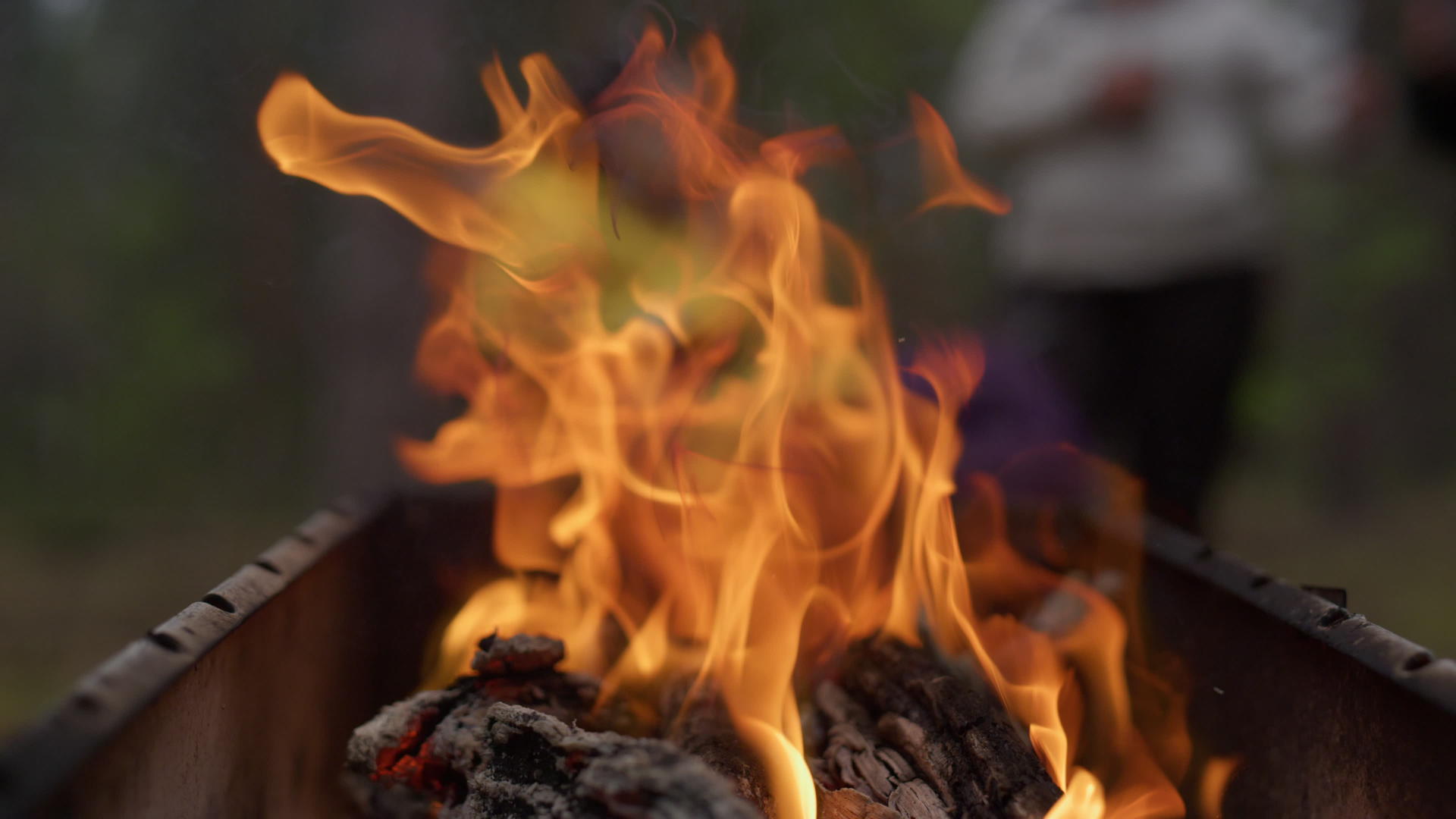 夏天森林里的篝火在燃烧视频的预览图