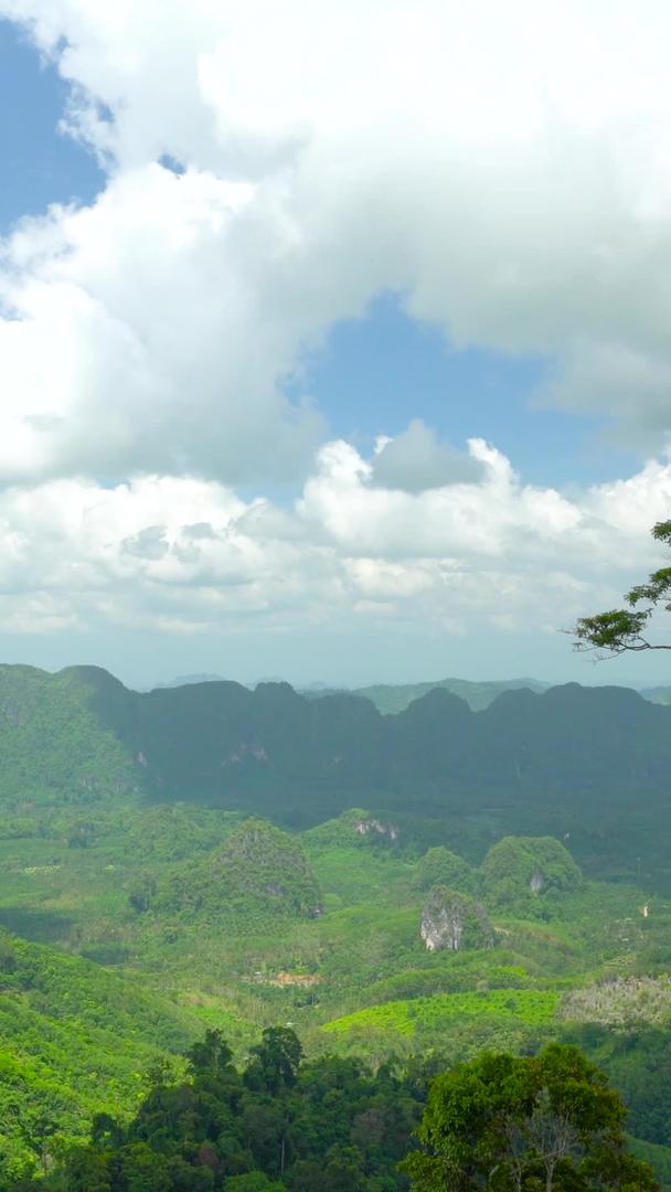 延迟泰国南部山区热带雨林视频的预览图