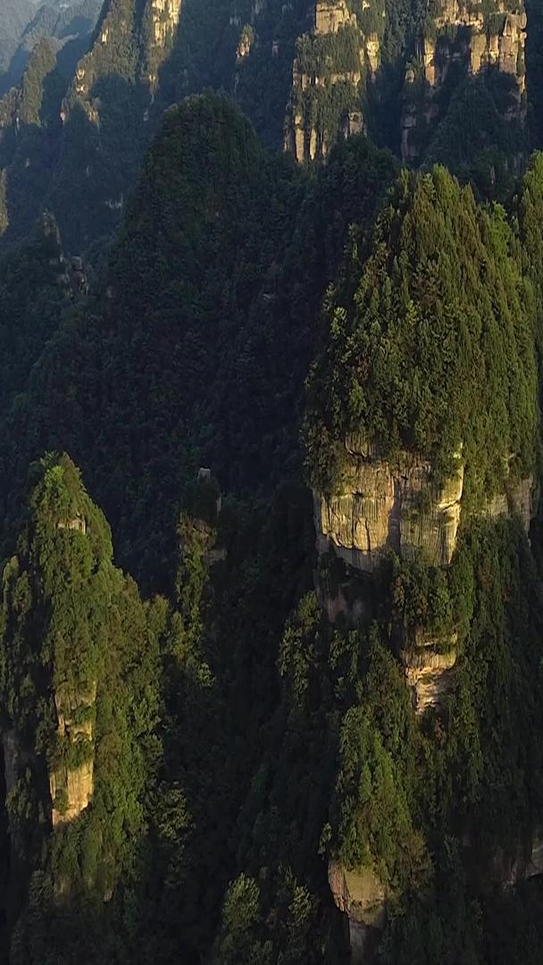 慈利三王村美丽的山峦竖屏航拍视频的预览图