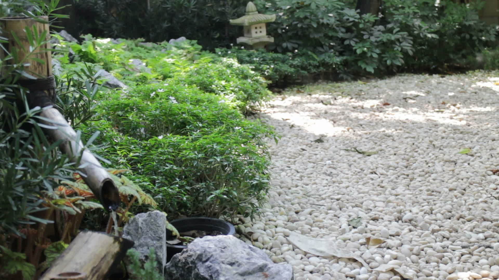 花园里的日本小喷泉视频的预览图