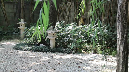 小型日本岩石花园视频的预览图