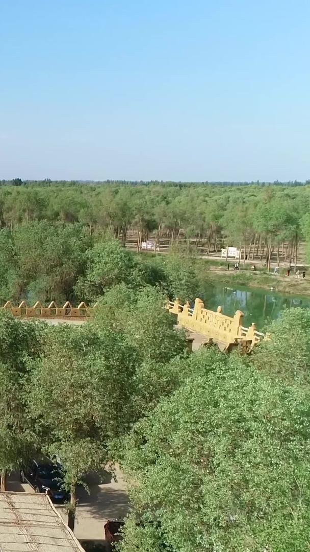 阿克苏刀郎部落景区新疆4A景区航拍视频的预览图
