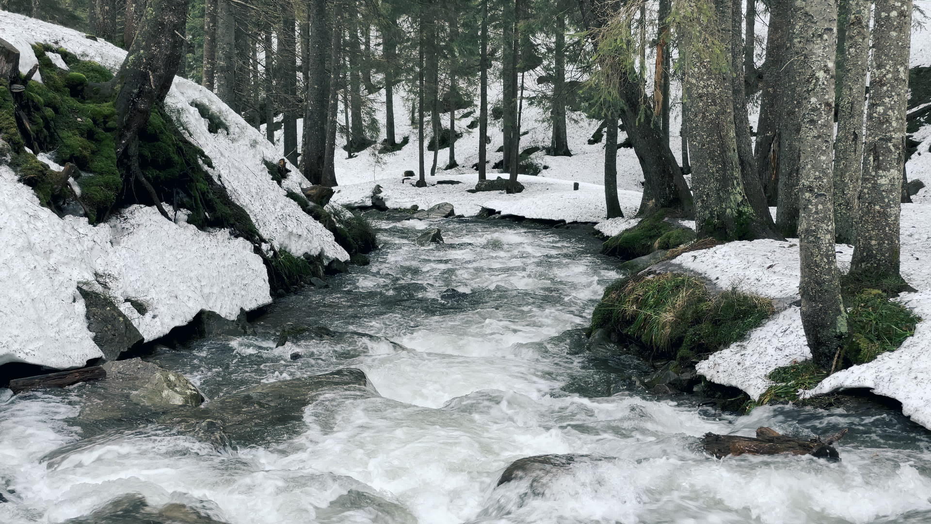 冬天森林里的快速河流和石头急流视频的预览图