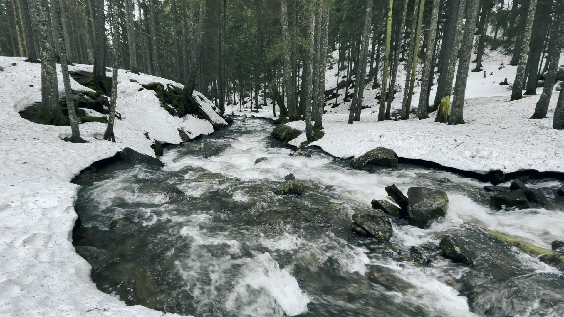 冬天有雪的森林里的河流视频的预览图