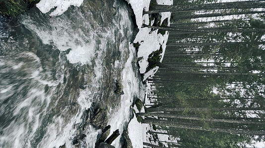 雪的垂直方向是冬天森林里的溪流和岩石视频的预览图