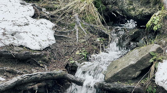 春暖花开的小溪融化在森林里视频的预览图