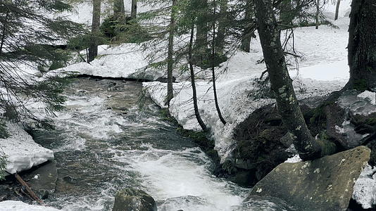 河流急流冬季森林中的雪景视频的预览图