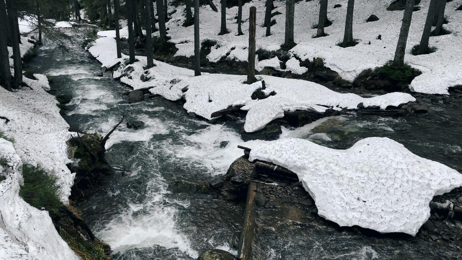 冬天森林里的河水自然瀑布视频的预览图