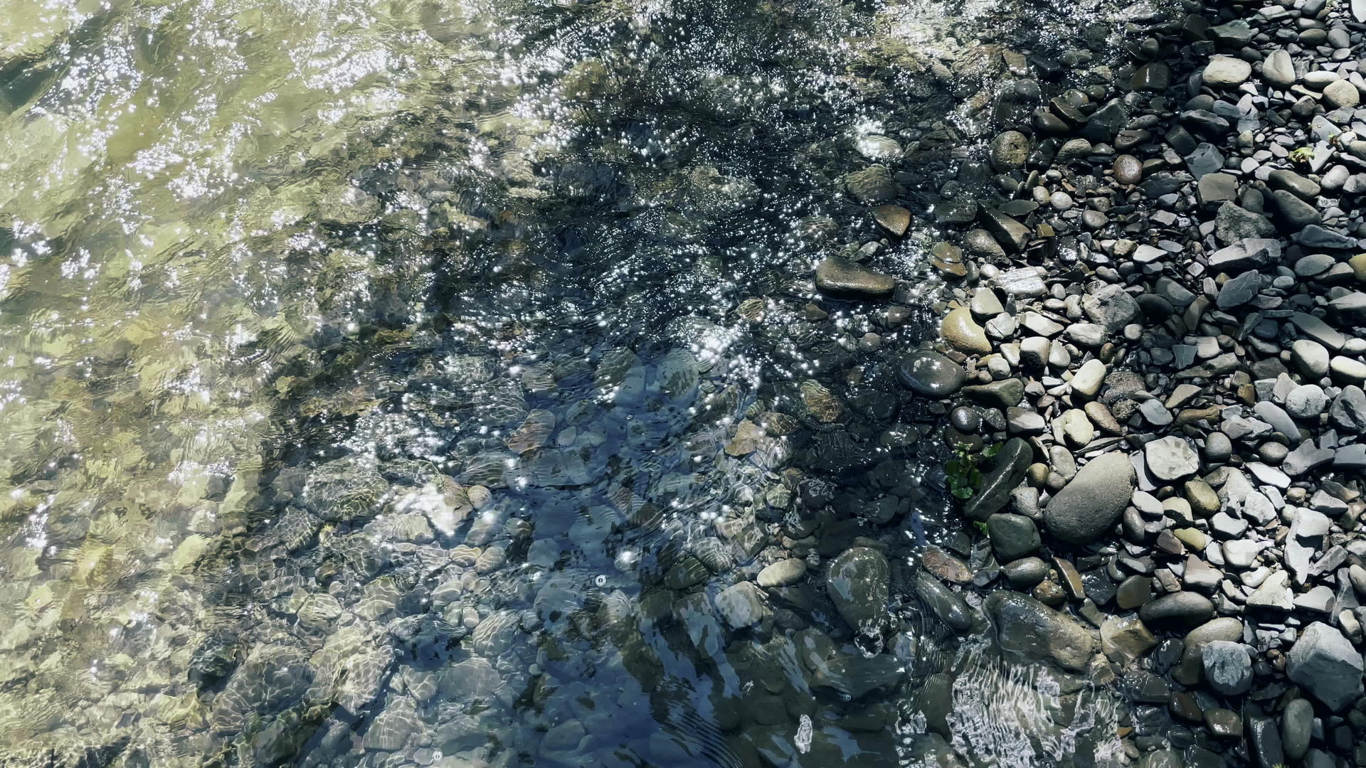 森林中的景观、石头和溪流视频的预览图
