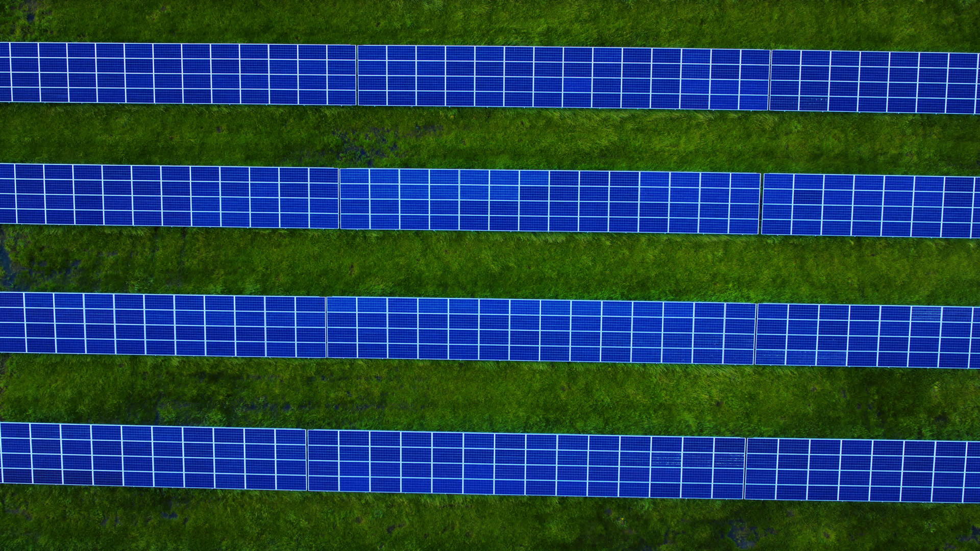 蓝色太阳能电池板在绿草上行走视频的预览图