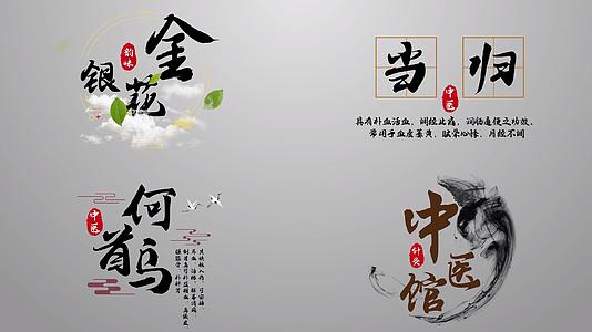 中医水墨古风文字AE模板视频的预览图