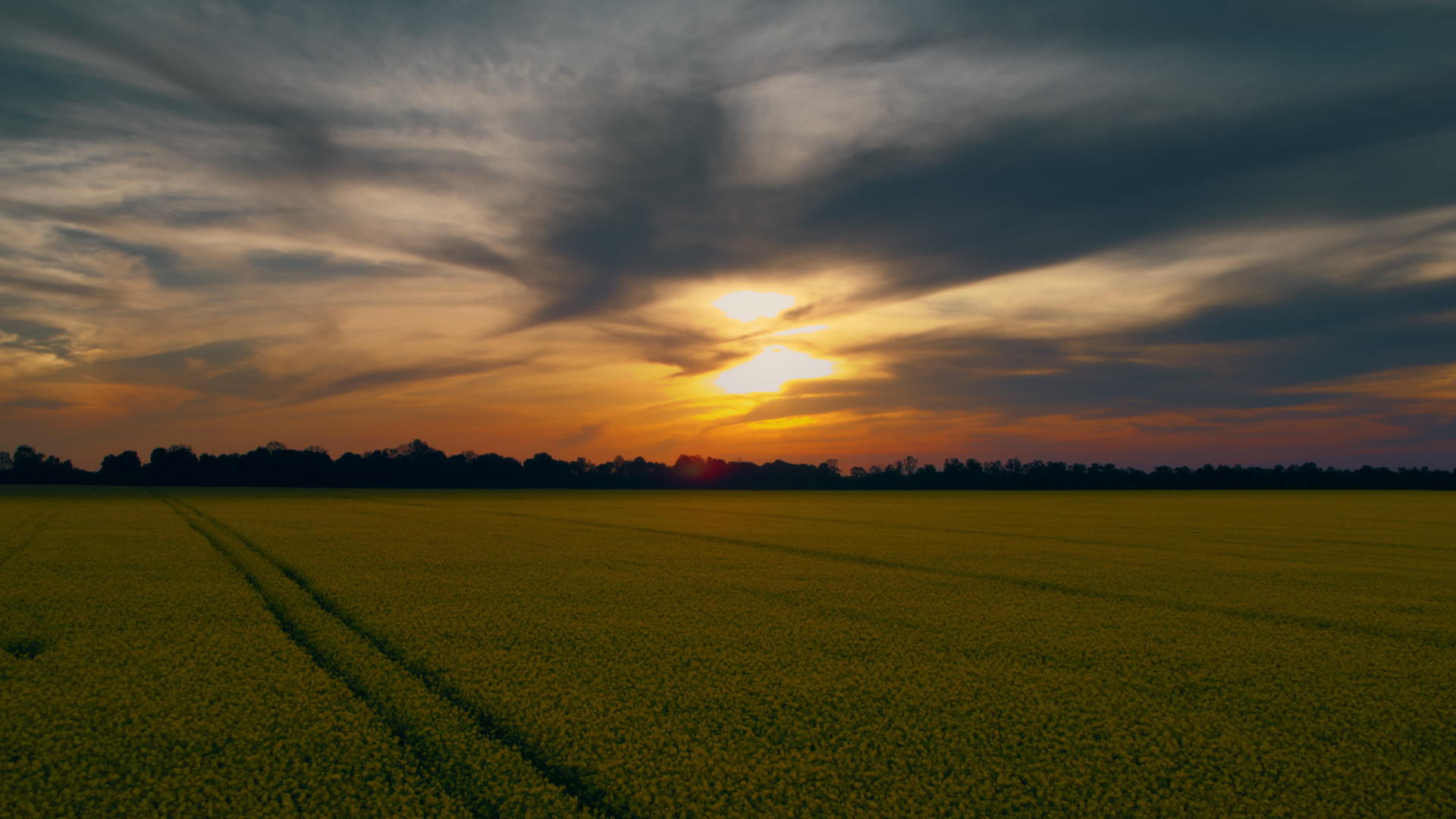 油菜田里的黄金夕阳云天空视频的预览图