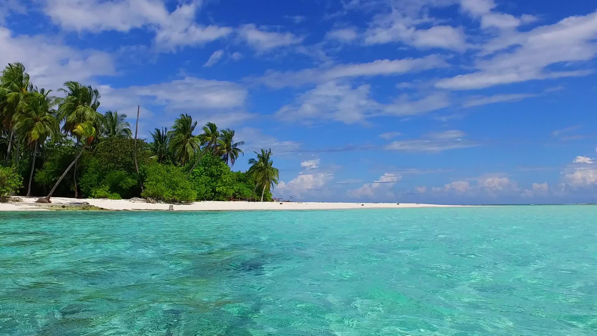 海滨海滩度假的开放旅行远离珊瑚礁附近的海洋和白色视频的预览图