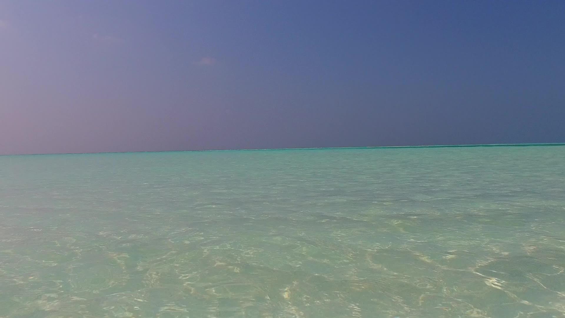 通过透明的海洋和棕榈树附近的白沙背景视频的预览图