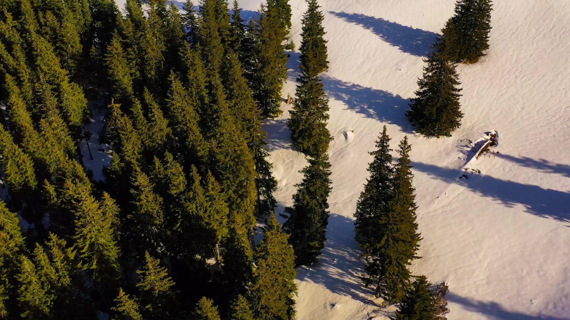 绿林和雪山罗马喀尔巴阡山脉的空中冬景视频的预览图