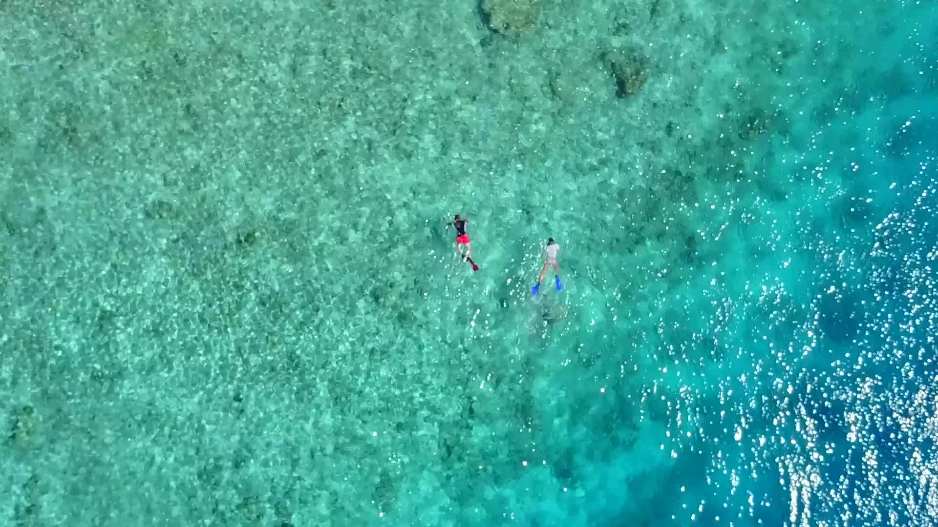 蓝色的水打破了珊瑚礁附近有白色海滩背景的海滩视频的预览图