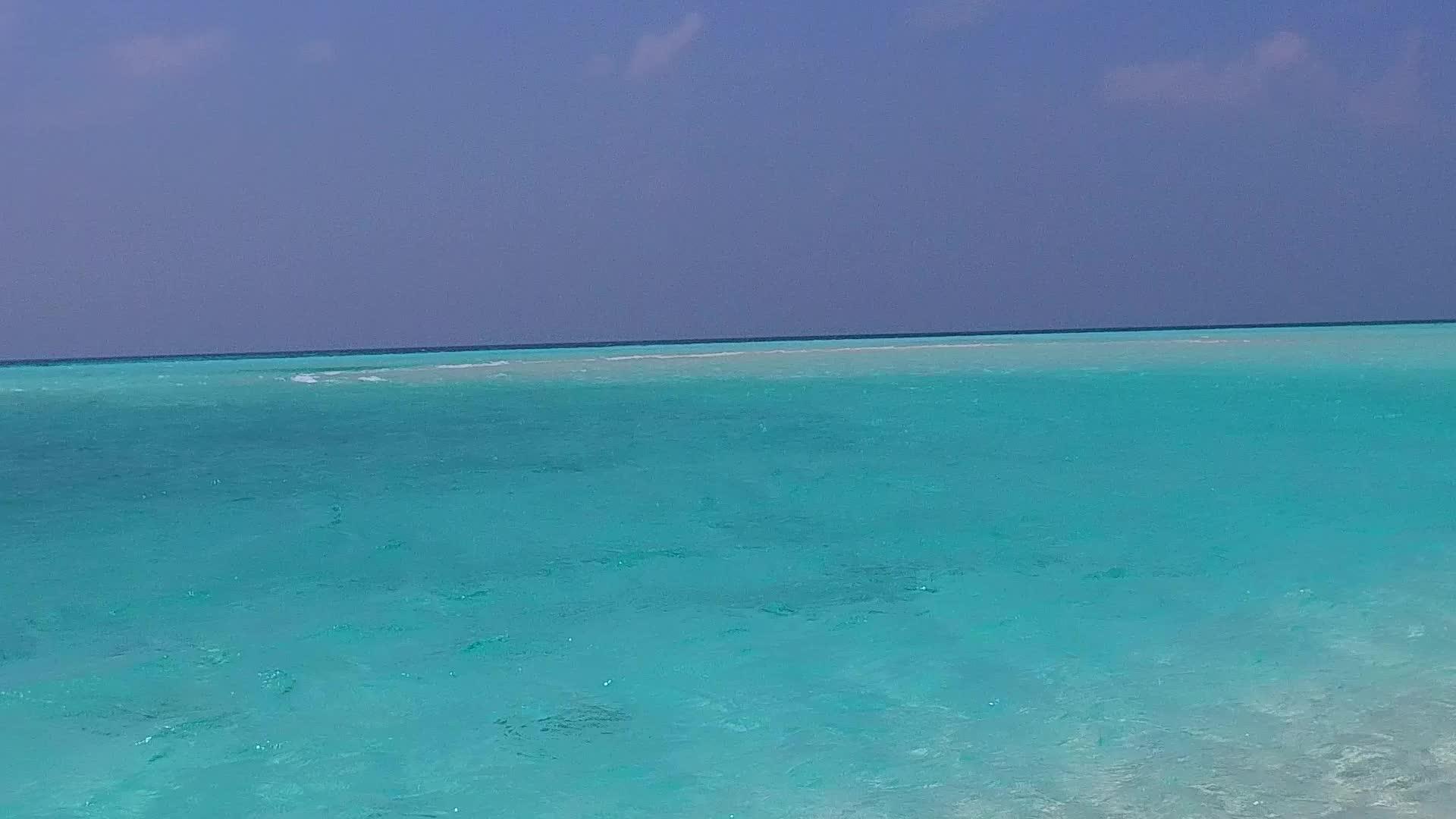 阳光全景蓝海和沙洲附近美丽的海滩野生动物视频的预览图