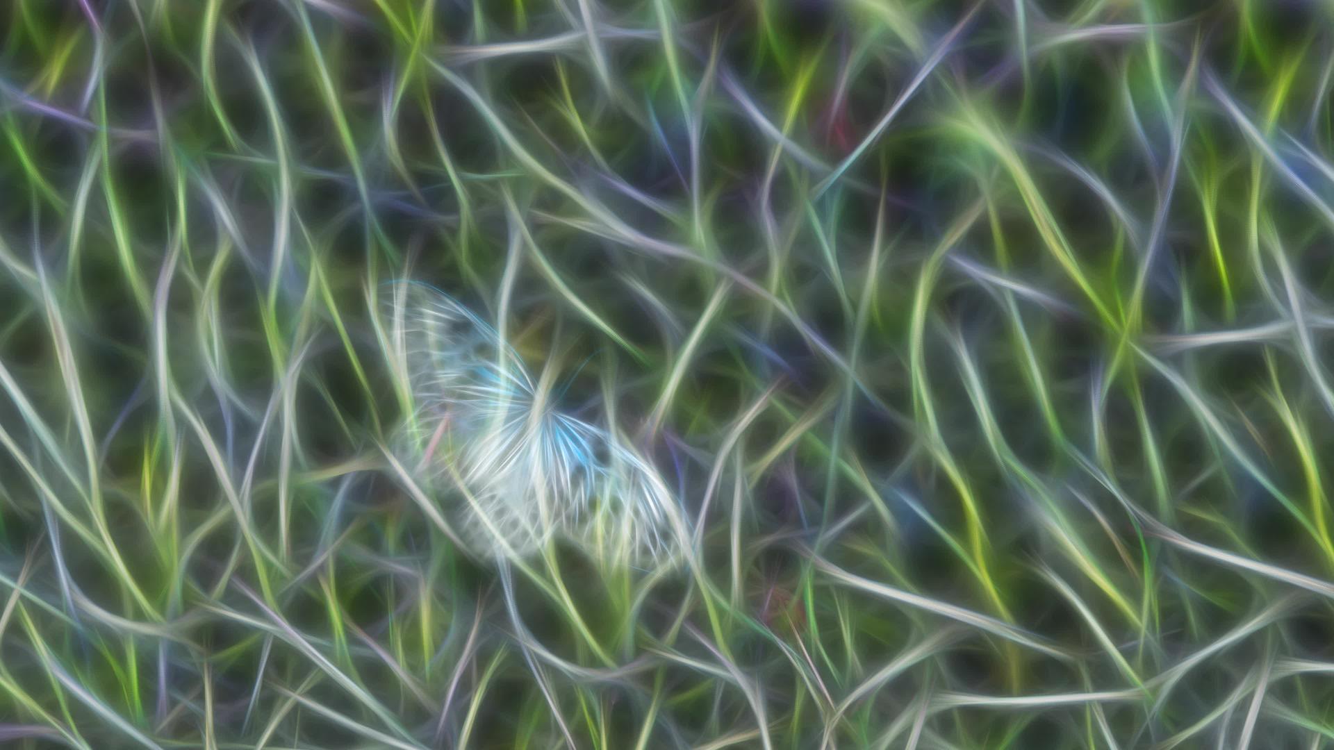 带飞蝴蝶的抽象分形背景视频的预览图