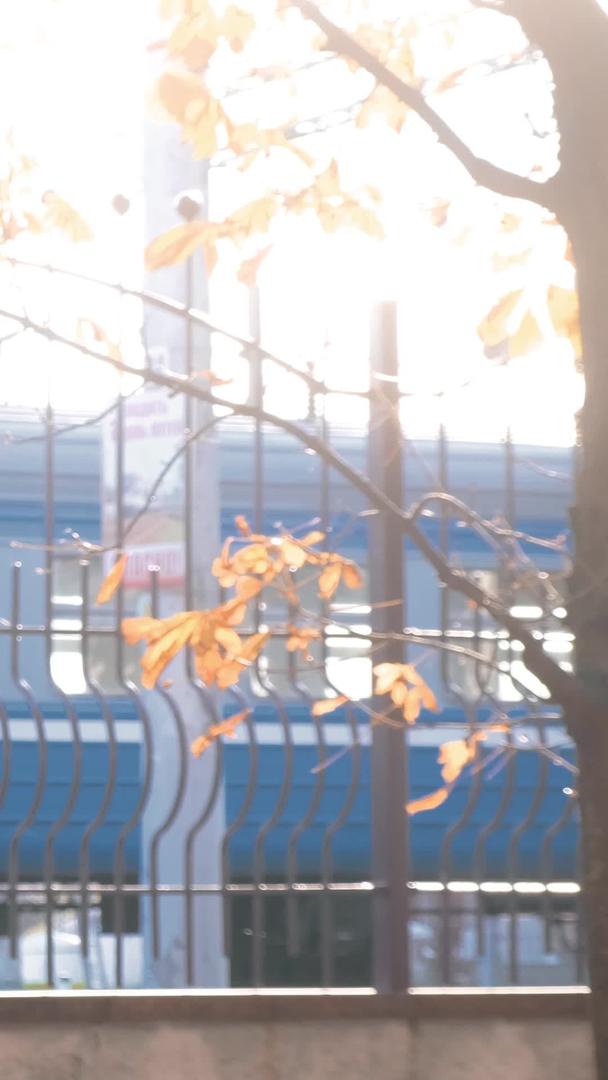 秋冬火车缓慢进入实拍素材站视频的预览图