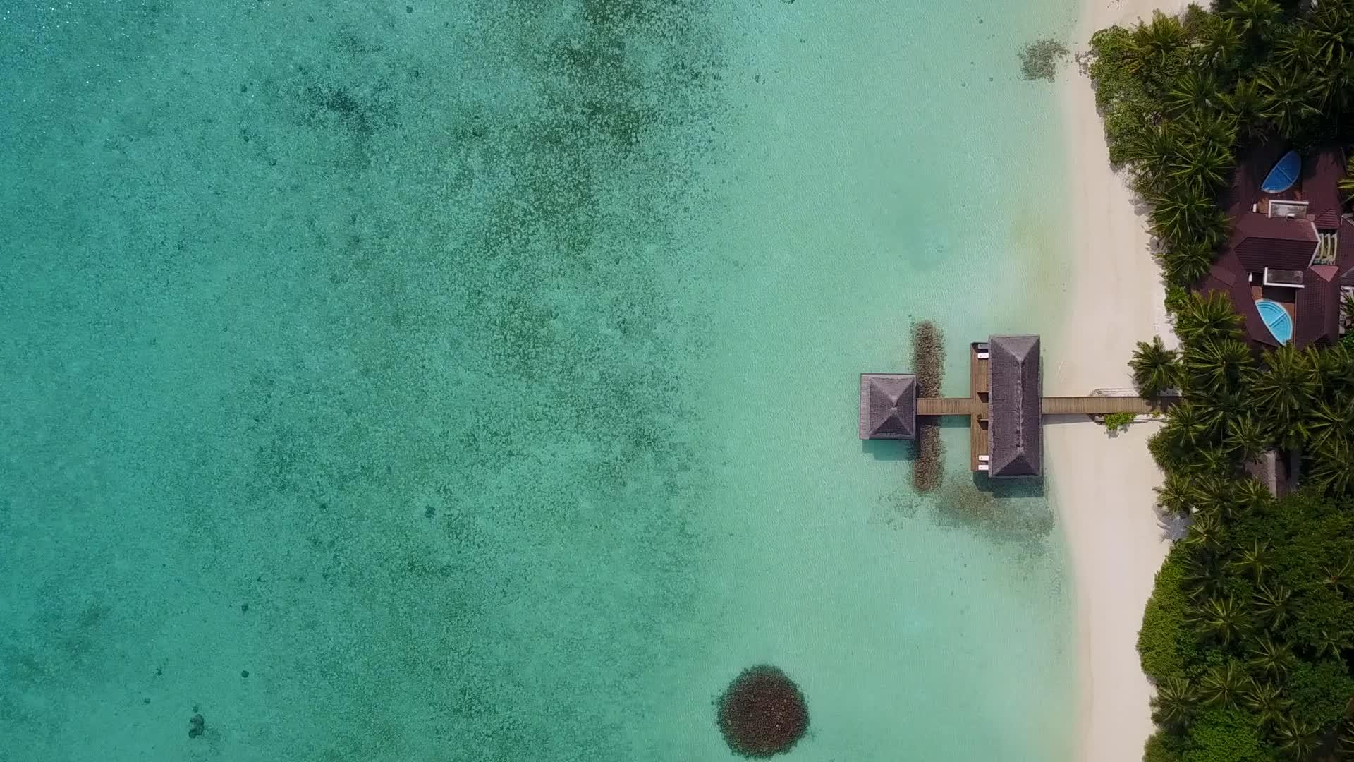完美的海岸背景是蓝色的环礁湖和靠近珊瑚礁的白色海滩视频的预览图