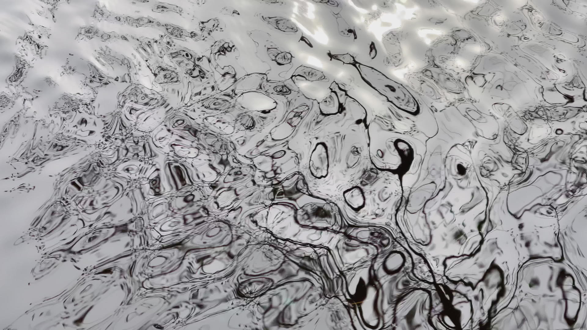 水坑中的抽象水波视频的预览图