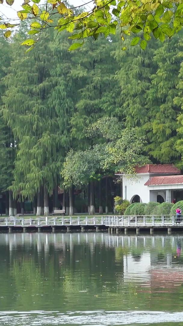 城市公园人工湖划船休闲娱乐旅游素材视频的预览图